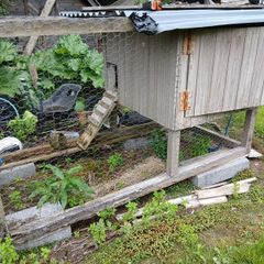 chicken coop