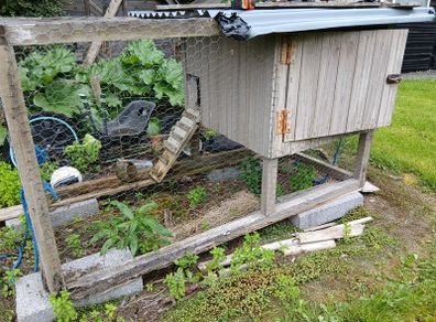 chicken coop