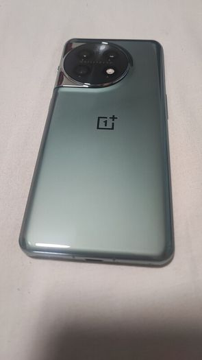 Oneplus 11 (16/256Gb)