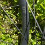 DT Swiss R470 Disc Aluminum Tubeless 700c Wheelset Image 2