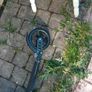 Scooter Image 7
