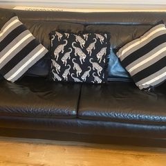Leather couches