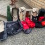 bugaboo cameleon fabrics in swords Image 10