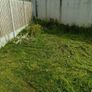 lawn mowing service Image 7