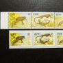 Ireland 1995.Reptiles/Amphibians.Fauna and Flora.Self-adhesives and Gummed.MNH. Image 2