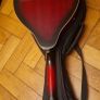 mandolin Image 2