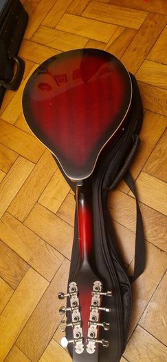 mandolin