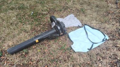 Leaf blower/vacuum
