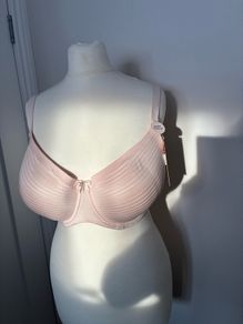 Pale Rose Underwire 38 DD, BNWT