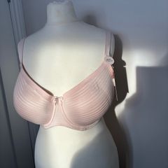Pale Rose Underwire 38 DD, BNWT