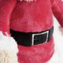Christmas Teddy NEW Image 3