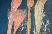 Pampas Grasses
