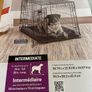Dog Crate Image 3