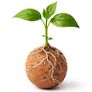 Kruger Meier ProNature Ball 15 - fertilizer balls with a biostimulant Image 9