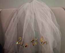 Bride to Be Wedding Veil