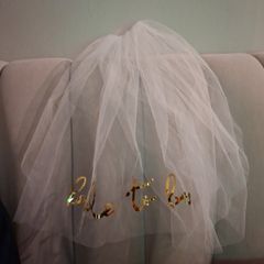 Bride to Be Wedding Veil