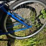 Apollo Transfer bike Image 6