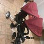 double trike Image 2