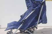 Buggy