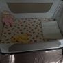 Crib baby elegance co-glide electric bedside Image 6
