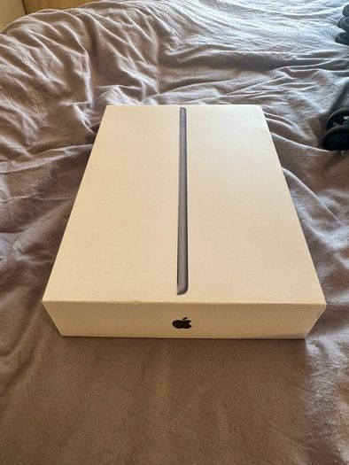 Apple iPad