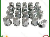 Replace Faulty Ford Nuts- Mondeo, Kuga, Focus, Connect - Delivery