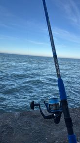 Rod and Reel