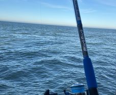 Rod and Reel