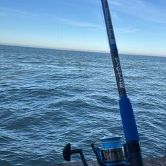 Rod and Reel