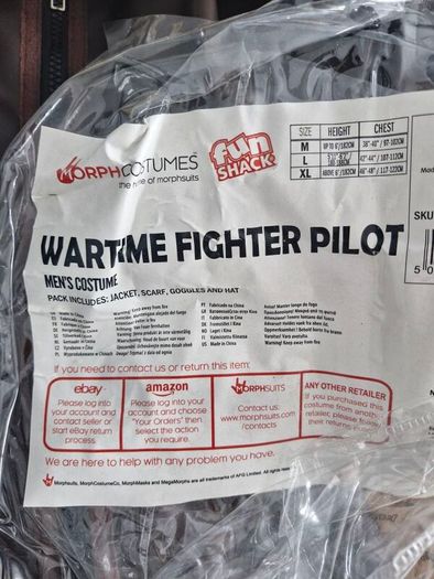 Halloween pilot costume
