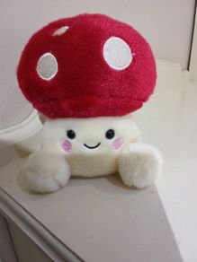 Soft Toy