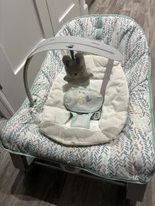 baby bouncer please read description