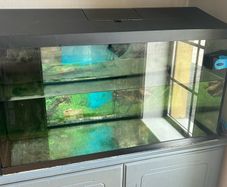 fish tank
