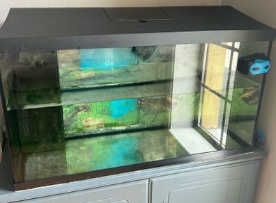 fish tank