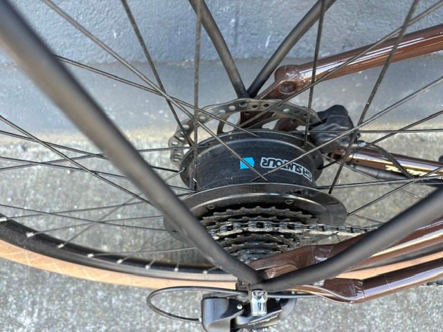 Kona Dew Electric Bike