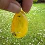 baltic amber necklase Image 7