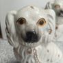 Vintage pair of Staffordshire pottery mantel dogs Image 5