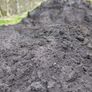 Well mature Manure Image 2