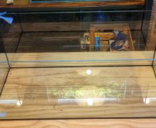 Aquarium 98 litres