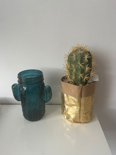 Cactus Big Clearout, Make An Offer