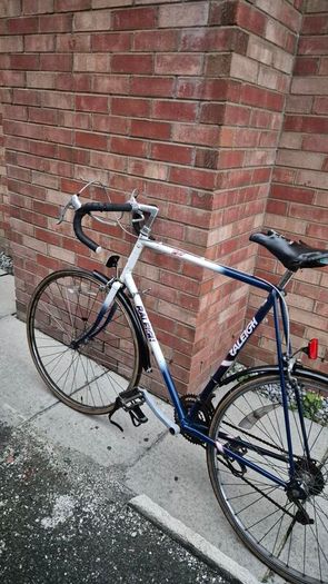 classic vinatge raleigh road racing bike