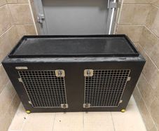 DT dog transport box