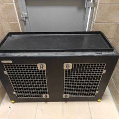 DT dog transport box