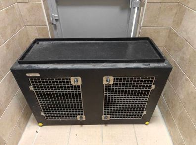DT dog transport box