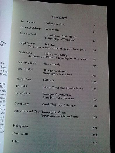 Essays on the poetry of Trevor Joyce Ireland Irish poet
