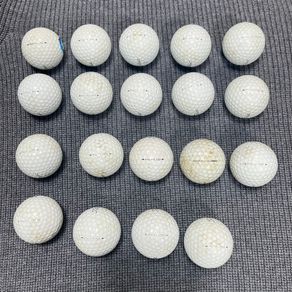 Titleist Pro V1 Golf Balls - Premium Used Golf Balls