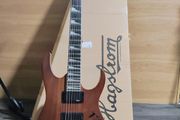 Ibanez gio