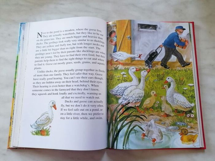 Children Book - Farmyard Stories