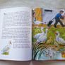 Children Book - Farmyard Stories Image 5