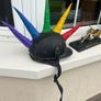 Novelty helmet Image 2
